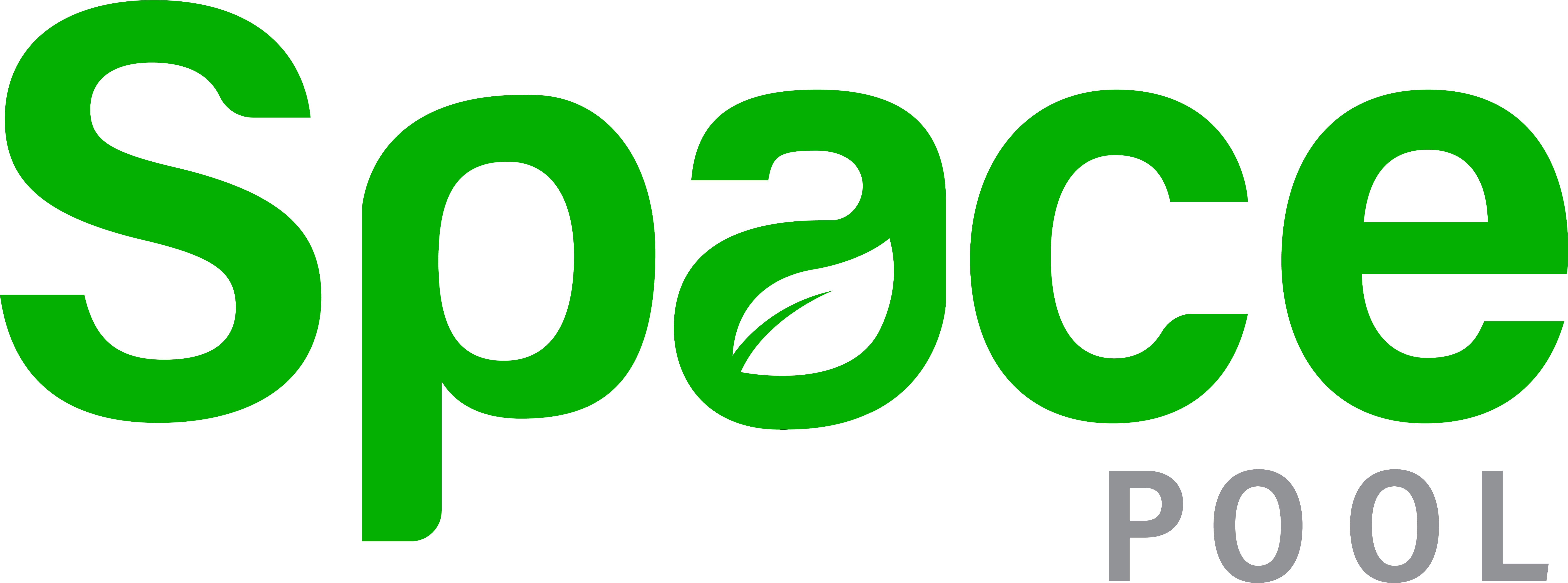 Space Pool Logo